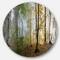 Designart - Morning Forest Panoramic View' Landscape Photography Circle Metal Wall Art